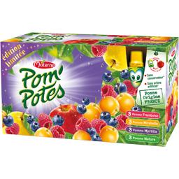 POM'POTES POM POTES MULTI VARIETES EDITION LIMITÉE X12