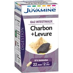 JUVAFLORINE GÉLULES GAZ INTESTINAUX CHARBON + LEVURE JUVAMINE X45