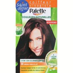 SAINT ALGUE COLORATION ST ALGUE PALETTE BRUN CHOCOLAT NUANCE 86
