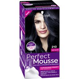 PERFECT MOUSS COLORATION PERFECT MOUSSE 210 NOIR GLACE 35ML