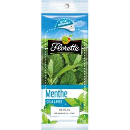 FLORETTE HERBES 4ÈME GAMME: MENTHE FLORETTE 11G