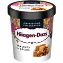 HAAGEN-DAZS HAAGEN-DAZS PRALINES AND CREAM POT 400G